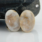Clip Earring 27x19mm oval beige-hornmarmoreret skinnende plastikbouton