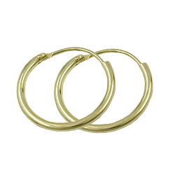 Ramme 15x1,1mm trådbøjlespænde Spænde blank 9K GULD