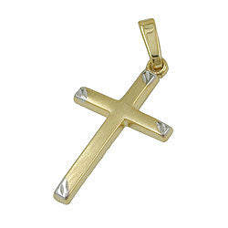 Vedhæng 22x13mm korsbicolor mat 9K GULD