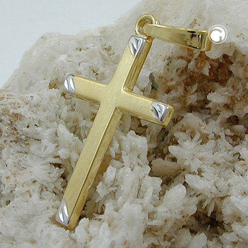 Vedhæng 22x13mm korsbicolor mat 9K GULD