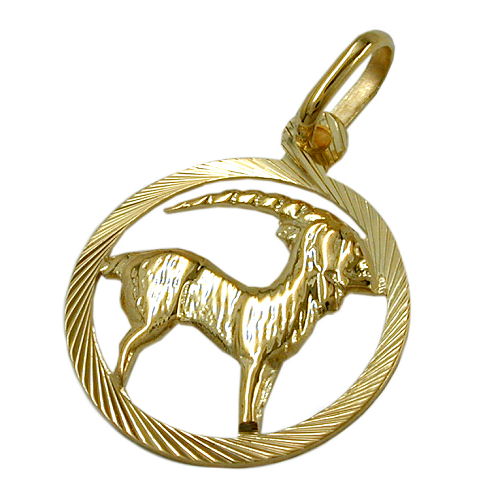 Vedhæng 15mm Zodiac Capricorn 9Kt GULD