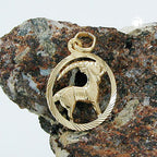 Vedhæng 15mm Zodiac Capricorn 9Kt GULD