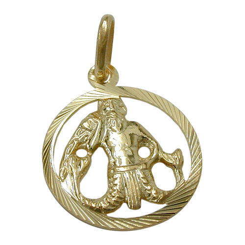 Vedhæng 15mm Zodiac Aquarius 9Kt GULD