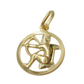 Vedhæng 15mm Zodiac Shooters 9K GULD