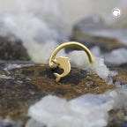 Næsestift 2,5 mm spiral med Little Dolphin 14 karat GULD