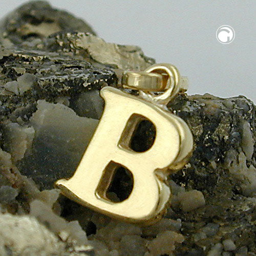 Vedhæng 8x6mm Bogstav B Blank 9K GULD