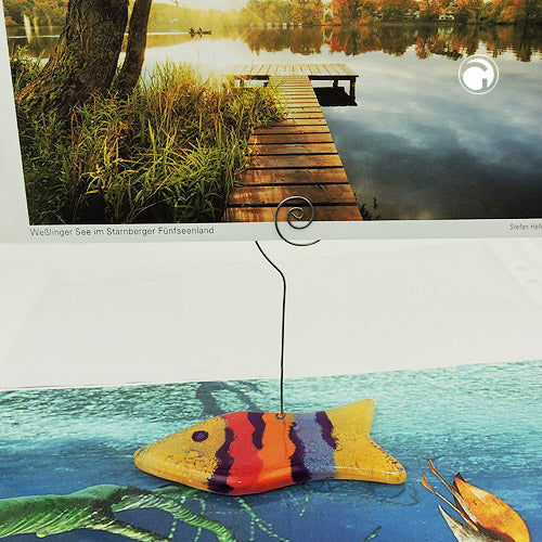 Fotostativ 35x73mm glasfisk gul/multi