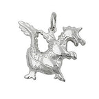 Vedhæng 20x17mm Dragon Shiny Silver 925