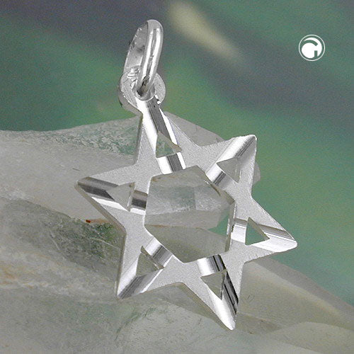 Vedhæng 18x13mm Davidsstjernen mat diamant sølv 925