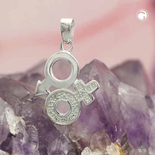 Vedhæng 23 mm Venus/Mars-symbol med zirkoniaer Skinnende sølv 925